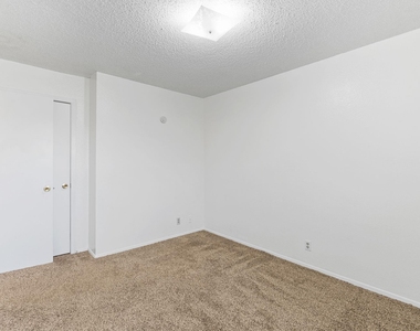 302 Algerita Dr - Photo Thumbnail 19