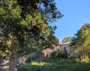 4808 Mori Drive - Photo Thumbnail 18