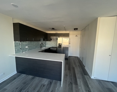 1360 N Sandburg Terrace - Photo Thumbnail 2