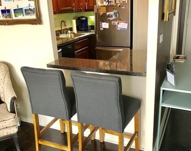 1355 N Sandburg Terrace - Photo Thumbnail 3