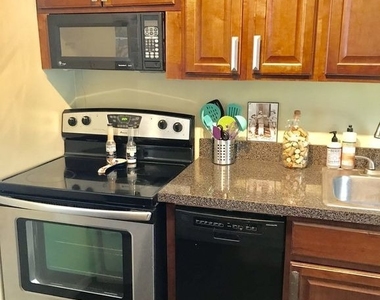 1355 N Sandburg Terrace - Photo Thumbnail 4