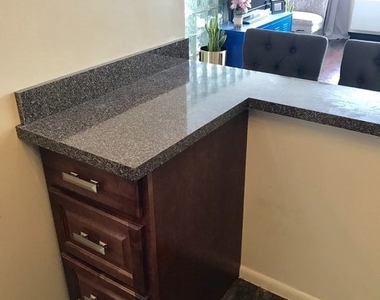 1355 N Sandburg Terrace - Photo Thumbnail 5