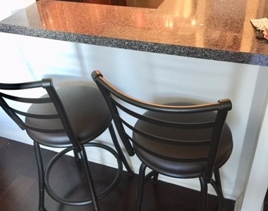 1355 N Sandburg Terrace - Photo Thumbnail 1