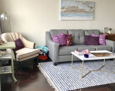 1355 N Sandburg Terrace - Photo Thumbnail 11