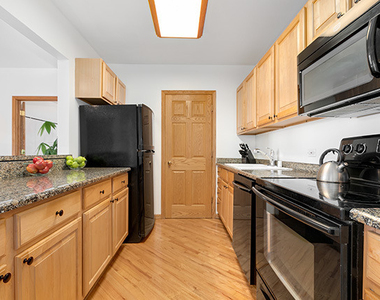 431 S Dearborn Street - Photo Thumbnail 2