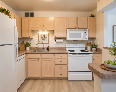 211 E Ohio Street - Photo Thumbnail 3