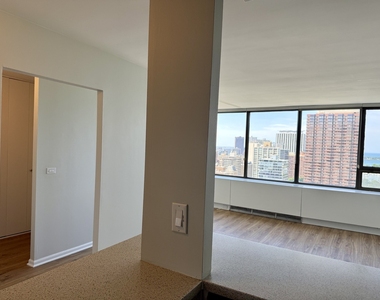 2800 N Lake Shore Drive - Photo Thumbnail 13