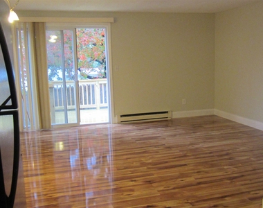 901 Mammoth - Photo Thumbnail 5