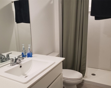 302 Bandit Cove Ct, Magnolia Texas 77354 Court - Photo Thumbnail 6