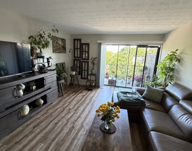 45 Park Place - Photo Thumbnail 3
