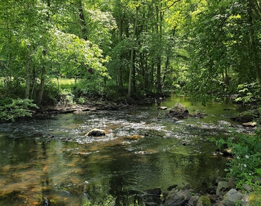 157 River Road - Photo Thumbnail 14