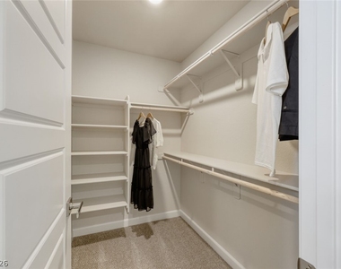 911 Cadence View Way - Photo Thumbnail 16