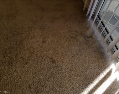 733 Wheat Ridge Lane - Photo Thumbnail 28