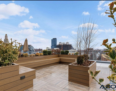 556 Baltic Street - Photo Thumbnail 13