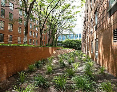 West 53rd Street - Photo Thumbnail 16