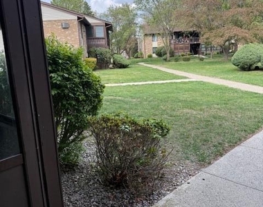 113 Amberly Drive - Photo Thumbnail 13