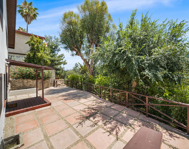 238 Thorne Street - Photo Thumbnail 17