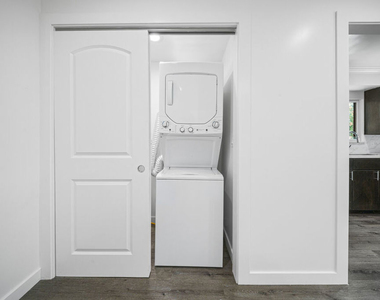 238 Thorne Street - Photo Thumbnail 7