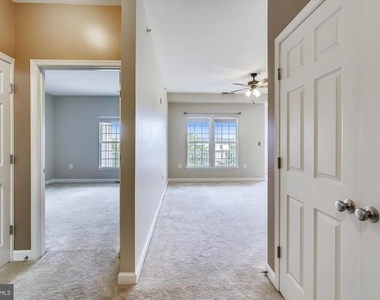 22611 Blue Elder Terrace - Photo Thumbnail 14