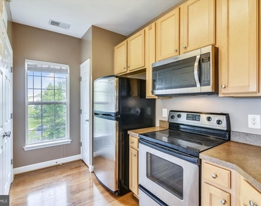 22611 Blue Elder Terrace - Photo Thumbnail 8