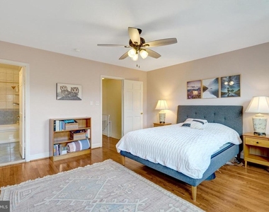 117 Princess Street - Photo Thumbnail 26