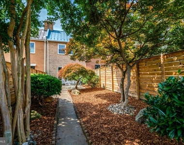117 Princess Street - Photo Thumbnail 42