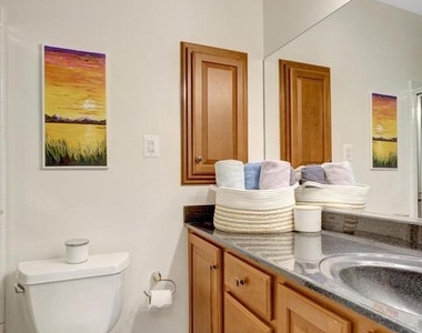 117 Princess Street - Photo Thumbnail 29