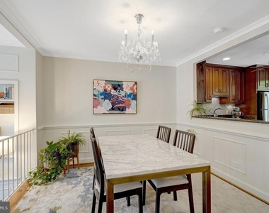 117 Princess Street - Photo Thumbnail 11