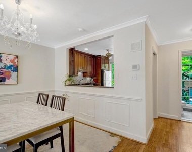 117 Princess Street - Photo Thumbnail 12
