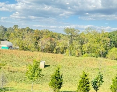 223 Seven Springs Lane - Photo Thumbnail 18