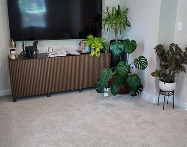 5441 Cedar Grove Drive - Photo Thumbnail 3