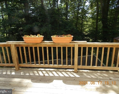 14609 Governor Sprigg Place - Photo Thumbnail 21
