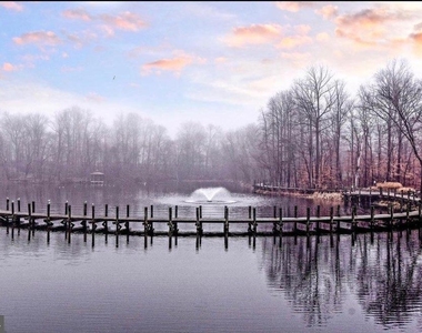 9808 Lake Pointe Court - Photo Thumbnail 61