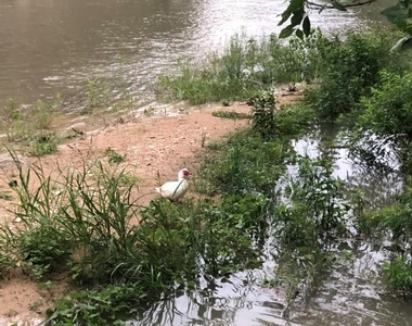 205 River Rd - Photo Thumbnail 1