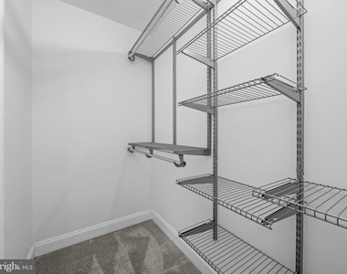1427 Bolton Street - Photo Thumbnail 21
