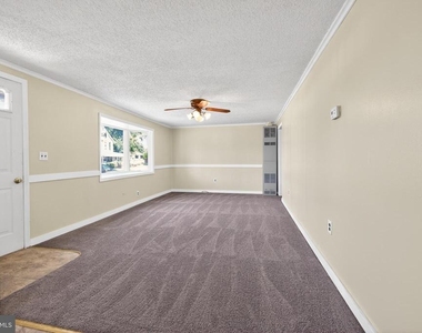 101 E Liberty Street - Photo Thumbnail 8