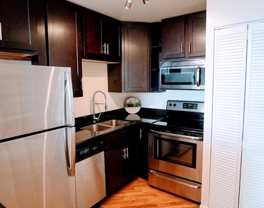 1455 N Sandburg Terrace - Photo Thumbnail 3