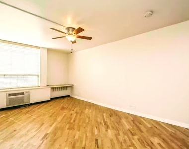 1455 N Sandburg Terrace - Photo Thumbnail 6
