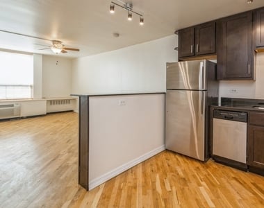 1455 N Sandburg Terrace - Photo Thumbnail 5