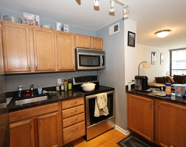222 E Pearson Street - Photo Thumbnail 7