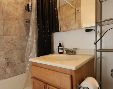 222 E Pearson Street - Photo Thumbnail 12