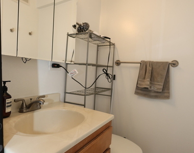 222 E Pearson Street - Photo Thumbnail 13