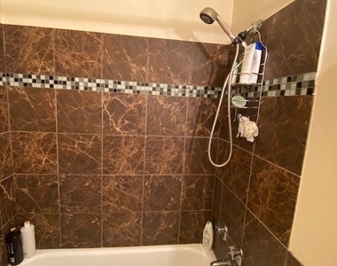 1636 N Wells Street - Photo Thumbnail 16