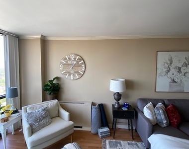 1636 N Wells Street - Photo Thumbnail 11