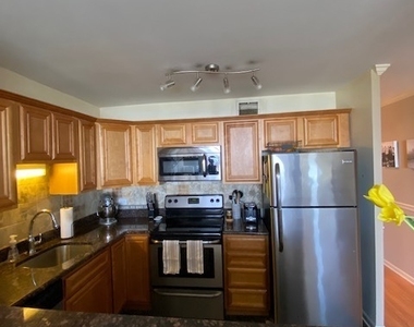 1636 N Wells Street - Photo Thumbnail 2