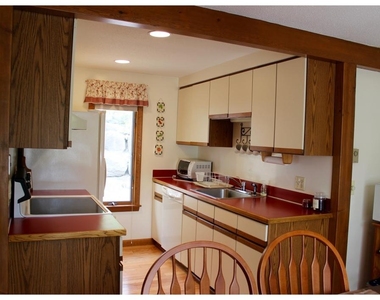 619 Otter - Photo Thumbnail 10