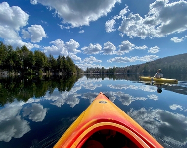 619 Otter - Photo Thumbnail 13