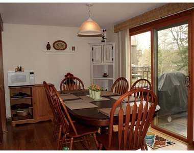 619 Otter - Photo Thumbnail 11