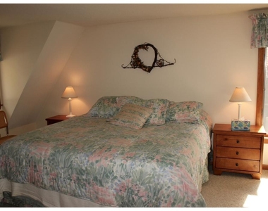 619 Otter - Photo Thumbnail 19