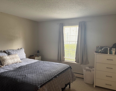 206 White Cedar - Photo Thumbnail 7